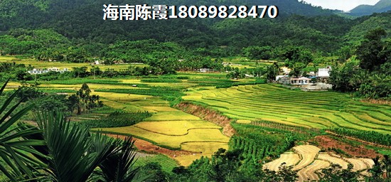 宇丰东城天韵 四居  户型图
