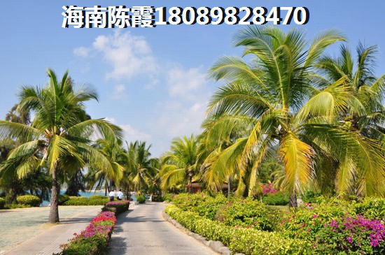 五洲观澜交通图